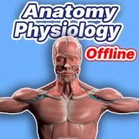 Learn Anatomy and Physiology